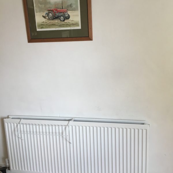 Stelrad Returns To Help Rehabilitation Charity In Devon