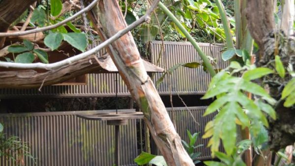Stelrad K3s Keep Sloths Warm At Wildlife Park!