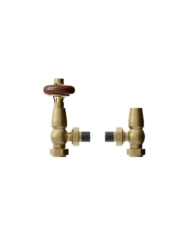 Antique-Brass-TRV-front-on-LR.jpg