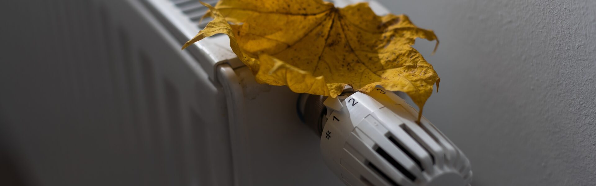 A dry autumn leaf on top of a radiator