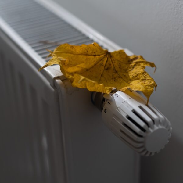 A dry autumn leaf on top of a radiator